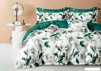 Постельное белье Реноме Евро Оливковая коллекция УУ 3306 (поплин)