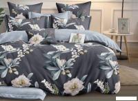 Постельное белье Реноме Евро Оливковая коллекция УУ 7070 (поплин)