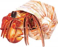 Конструктор Makebug Bring Nature Home Рак-отшельник MB-B-0008