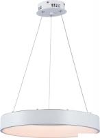 Подвесная люстра AksHome Ring LED (белый)