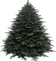 Ель Homa Victoria 20-150