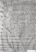 Ковер для жилой комнаты Valentis Juno G595AG-GREY (2x4)