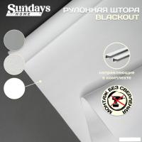 Рулонные шторы Sundays Home Оливия 57х160 с 2-мя направляющими LM-15 150см (белый)