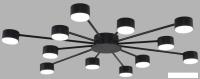 Припотолочная люстра Lumion Torina 8344/12C