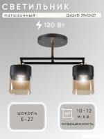 Люстра средней высоты Aitin Pro НПБ 02-2x60-101 M225B/2 (черный)