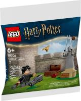 Конструктор LEGO Harry Potter 30706 Урок по квиддичу