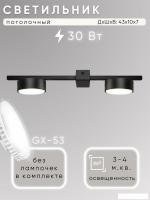 Припотолочная люстра Aitin Pro X3796/2 (черный)