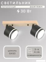 Припотолочная люстра Aitin Pro X4504/2 (черный/дерево)