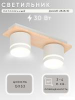 Припотолочная люстра Aitin Pro X4516/2 (белый/дерево)