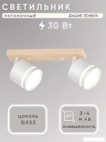 Припотолочная люстра Aitin Pro X4504/2 (белый/дерево)