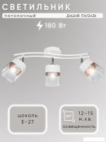 Припотолочная люстра Aitin Pro НПБ 02-3x60-102 2807/3 (золото/белый)