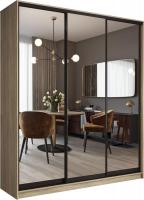 Шкаф-купе Евва АЭП ШК.3.03 176 SG.05 (дуб сонома/зеркало/венге глянец)
