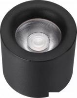 Спот iLedex Metrica 113-12W-D100-3000K-24DG-BK