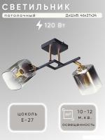 Спот Aitin Pro НПБ 02-2x60-101 N6647/2 (черный/золото)