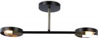 Припотолочная люстра Ambrella light Traditional TR8225/2 BK/SB