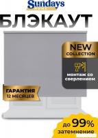 Рулонные шторы Sundays Home LM 168-07 120x170 (серый)