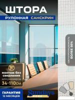 Рулонные шторы Sundays Home Санскрин SS 1300-01 67х215 (белый)