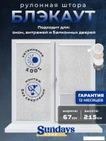 Рулонные шторы Sundays Home LM 97-08 67х215 (светло-серый)