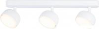 Спот Ambrella light Techno TN71015