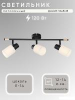 Спот Aitin Pro НПБ 02-3x40-102 DA6171/3 (черный/дерево)