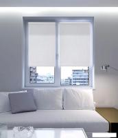 Рулонные шторы Legrand Дождь 66x175 (белый)