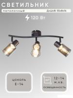 Точечный светильник Aitin Pro НПБ 02-3x40-102 DA6172/3 (черный)