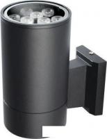 Садовый светильник JAZZway PWL-200110/30D 1x9w 6500K IP65