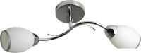Люстра средней высоты Mirastyle BL-7616/2 CR