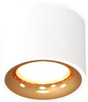 Припотолочная люстра Ambrella light Techno spot XS7510024 SWH/PYG