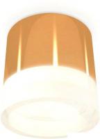 Точечный светильник Ambrella light Techno spot XS8121010 PYG/FR