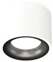 Припотолочная люстра Ambrella light Techno spot XS7510021 SWH/PBK
