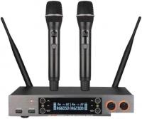 Радиосистема LAudio LS-201-2M