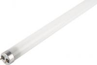 Светодиодная лампочка JAZZway PLED T8 - 900GL 14w FROST 4000K