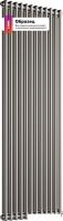 Стальной трубчатый радиатор Royal Thermo Insignia VC2180 - 04 секции Technoline