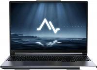 Игровой ноутбук Maibenben X-Treme Typhoon X16C X16C-i737560FERHG4E10