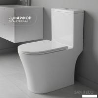 Унитаз напольный Saniteco Tornado KW-80687