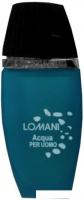 Туалетная вода Lomani Aqua Per Uomo for Men EdT (100 мл)