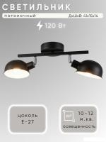 Припотолочная люстра Aitin Pro НПБ 02-2x60-102 C1021/2 (черный)