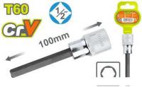 Головка слесарная Dyllu DTSC5219