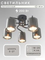 Люстра средней высоты Aitin Pro НПБ 02-5x40-101 07660/5 (черный)
