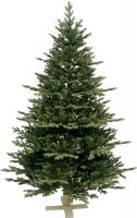 Ель Winter Fun 25882-150CM