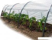 Парник На зависть 8 м