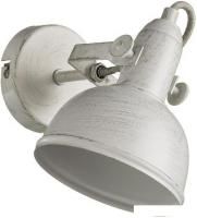 Бра Arte Lamp Martin A5213AP-1WG