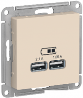 Розетка USB Schneider Electric Atlas Design ATN000233