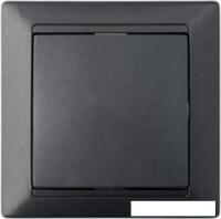Выключатель Bylectrica Стиль С1 10-801 (графит)