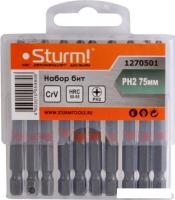 Набор бит Sturm 1270501 (10 предметов)