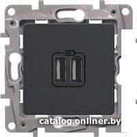 Розетка USB Legrand Etika 6 726 94