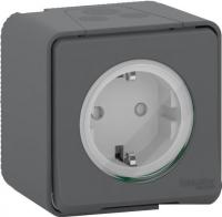 Розетка Schneider Electric Mureva Styl MUR36034