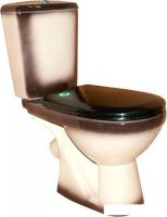 Унитаз Rosa Комфорт (черный)