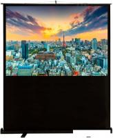 Проекционный экран CACTUS FloorCompactExpert 150x200 CS-PSFLCE-200X150